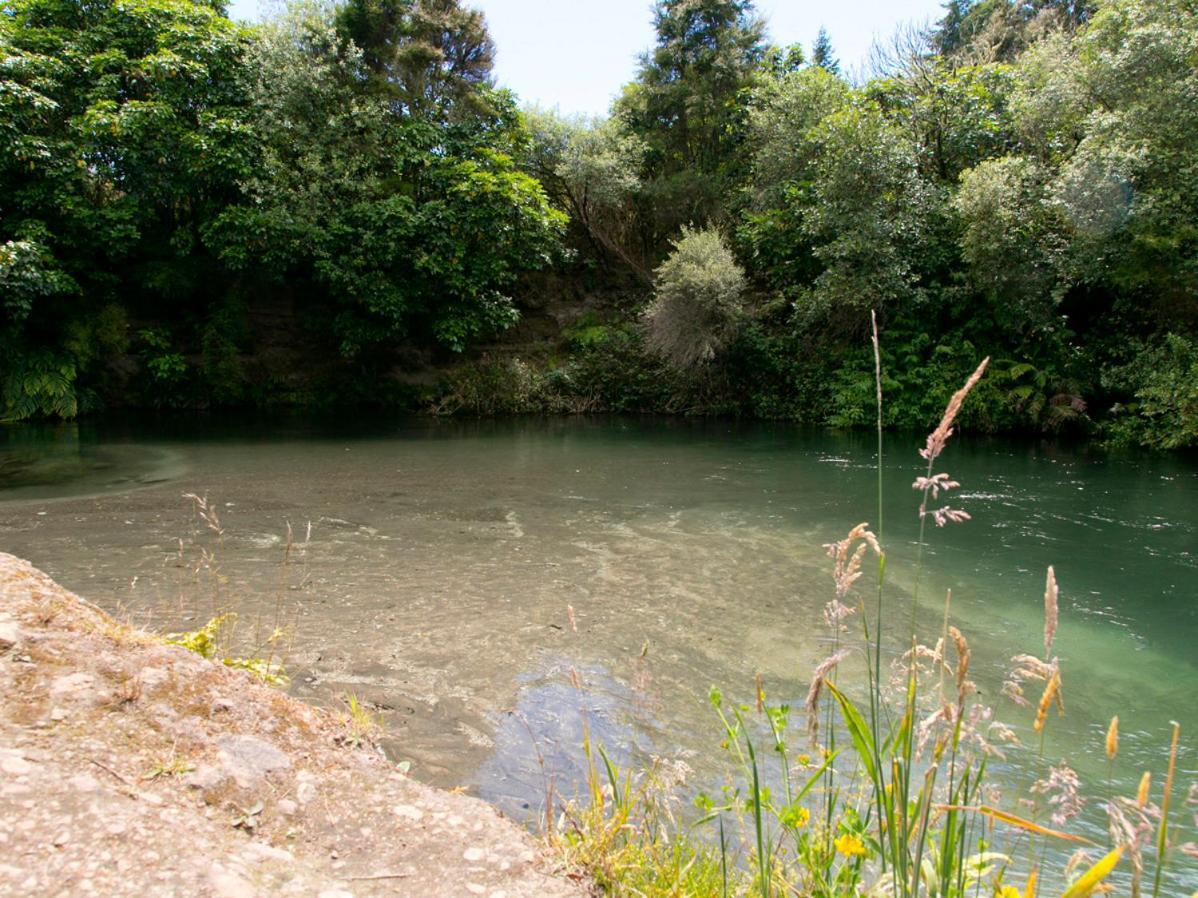 Bellbird Cottage - Lake Taupo Bach Waitahanui 외부 사진