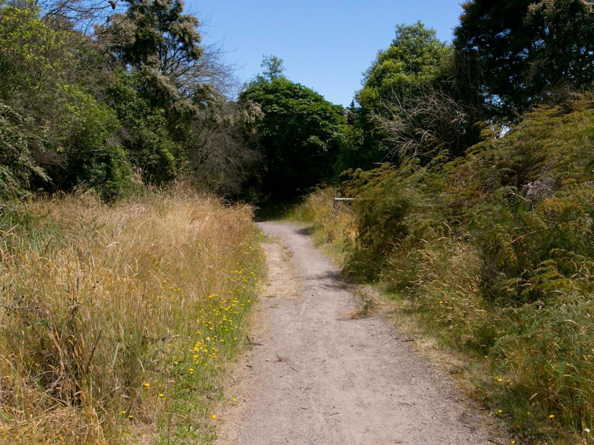 Bellbird Cottage - Lake Taupo Bach Waitahanui 외부 사진